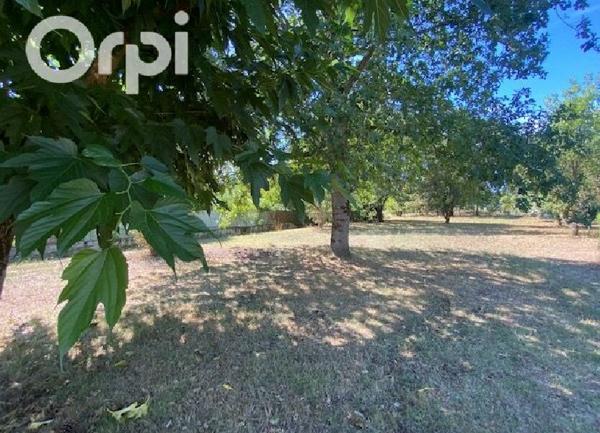 Maison à vendre    6 pièces •  La Tremblade