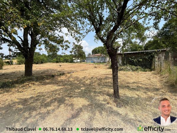 Terrain
        
        - 902 m²