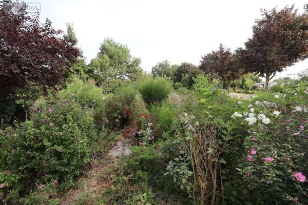 Maison à vendre à Cambrai dans le Nord (59400), ref : 59085-1525