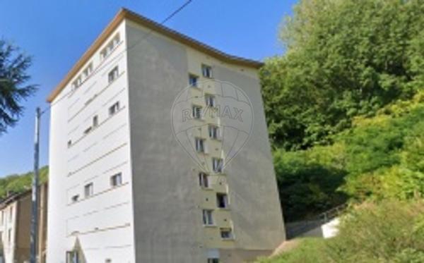 Appartement  en vente - Meurthe-et-Moselle - 54