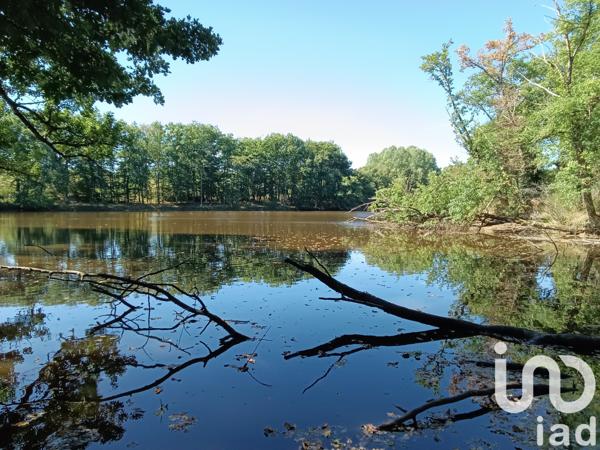 Land for sale 37 398 m² Bord-Saint-Georges