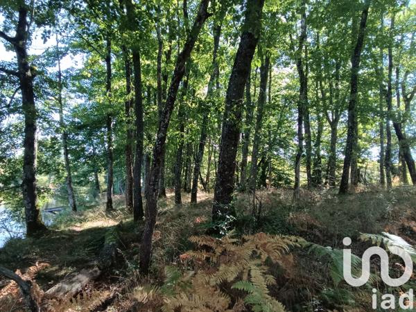 Land for sale 37 398 m² Bord-Saint-Georges