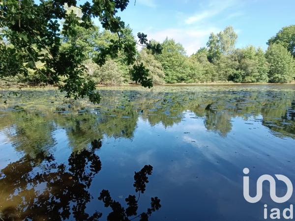 Land for sale 37 398 m² Bord-Saint-Georges