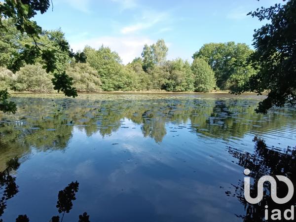 Land for sale 37 398 m² Bord-Saint-Georges