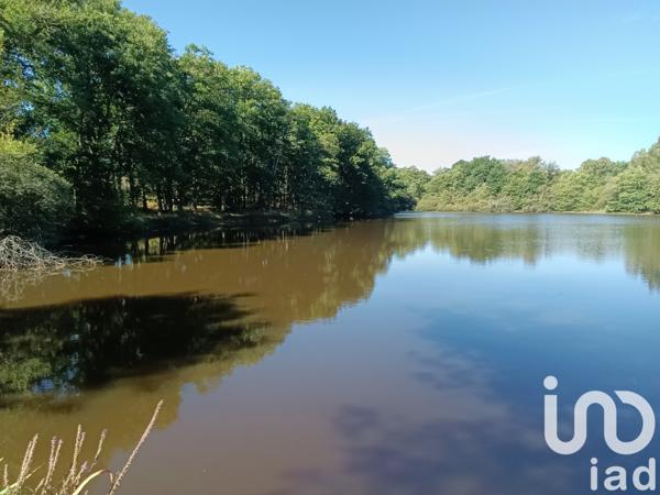 Land for sale 37 398 m² Bord-Saint-Georges