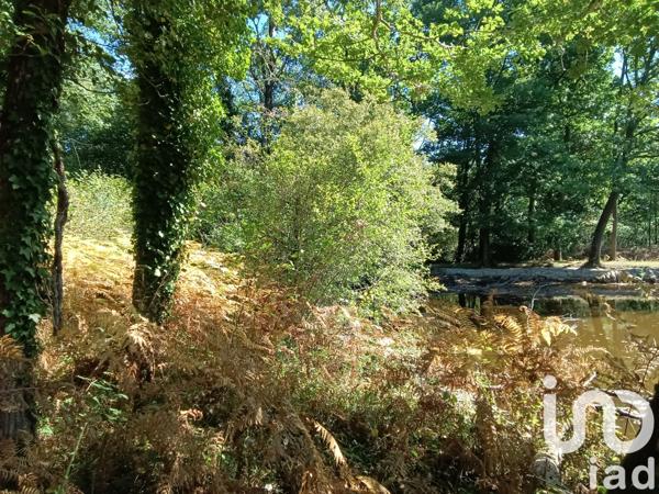 Land for sale 37 398 m² Bord-Saint-Georges