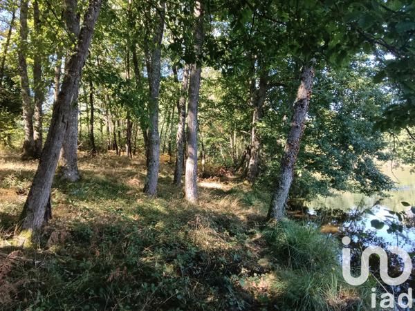 Land for sale 37 398 m² Bord-Saint-Georges