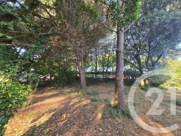 Terrain à vendre  550 m 2   VENDAYS MONTALIVET  - 33