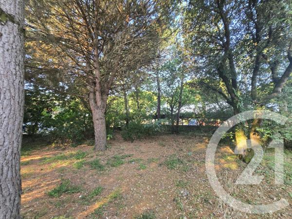 Terrain à vendre  550 m 2   VENDAYS MONTALIVET  - 33