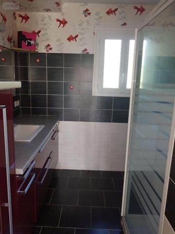 Maison individuelle à vendre à Romorantin-Lanthenay dans le Loir-et-Cher (41200), ref : 41036/2859 Lanthenay