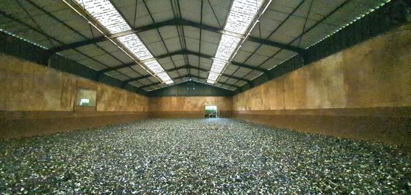 Maison 6 pièces - 170 m²