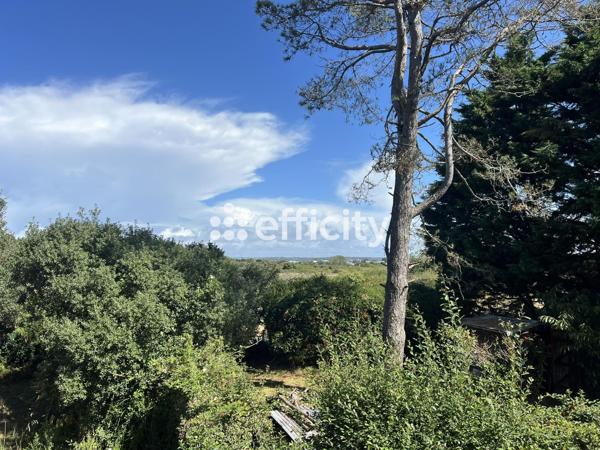 Maison 14 pièces - 830 m²