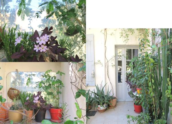 Maison de Maître 4 chambres 3 salles d'eau et bains et cour intérieure.