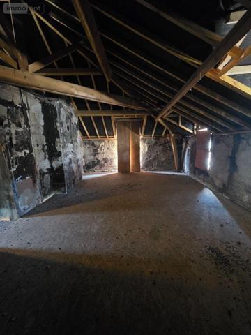 Local mixte (Pro/Hab) à vendre à Angers dans le Maine-et-Loire (49100), ref : 49115/IMM/509   
HYPER CENTRE FACULTE DE DROIT