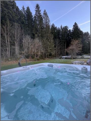 Situation privilégiée à proximité du Lac de Gerardmer, confort et espace extérieur