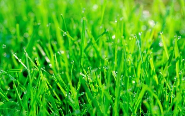 Vente Terrain Septeme   