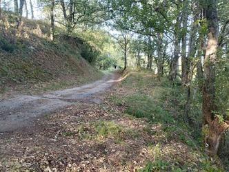 Terrain - 4639 m²