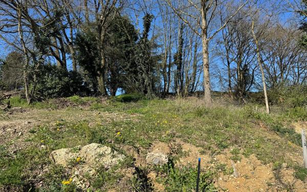 Terrain à vendre    Chavanoz