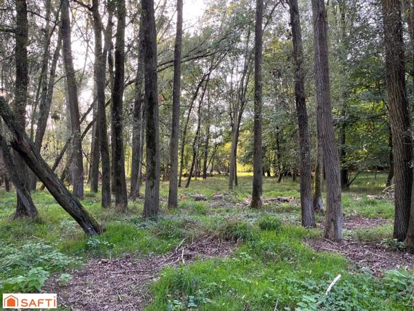 Terrain de 13,10 ha traversé par la Somme à HAM