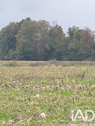 Terrain à vendre 4 648 m² Buzet-sur-Baïse