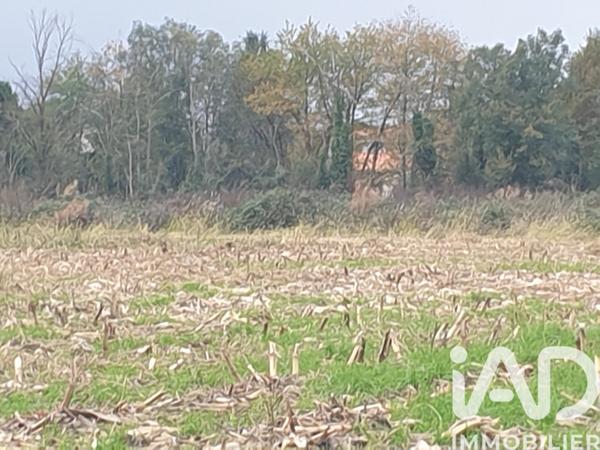 Terrain à vendre 4 648 m² Buzet-sur-Baïse