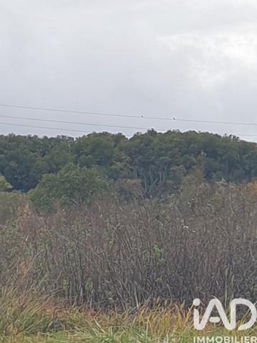 Terrain à vendre 4 648 m² Buzet-sur-Baïse