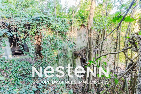 Curvalle Terrain boisé avec ancienne maison