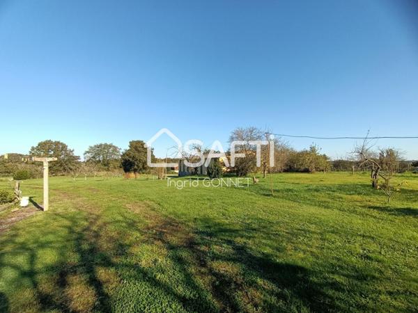 Venez poser vos valises.