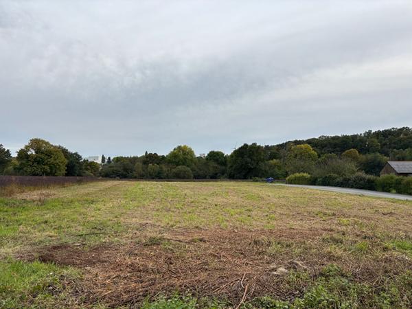 Terrain Chateaubourg 2095 m²