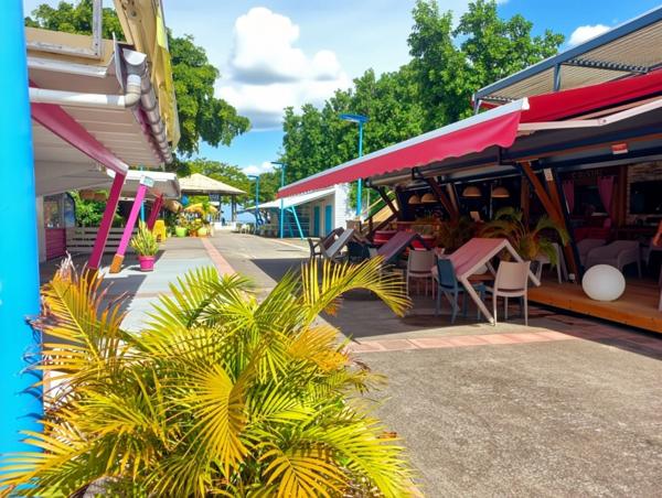 Appartement T3, meublé, vue mer, vaste terrasse, à vendre, LE MOULE AUTRE BORD (971)