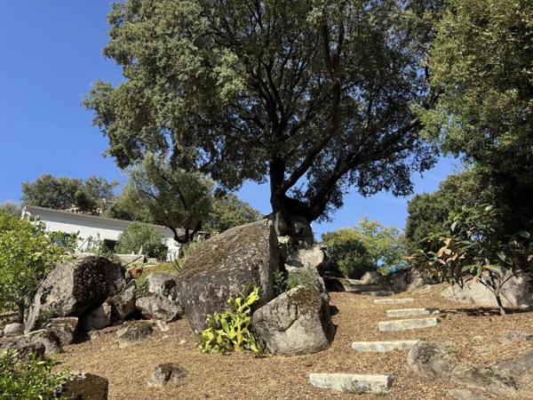 Vente Maison 4 pièces 148 m2 à Sartène