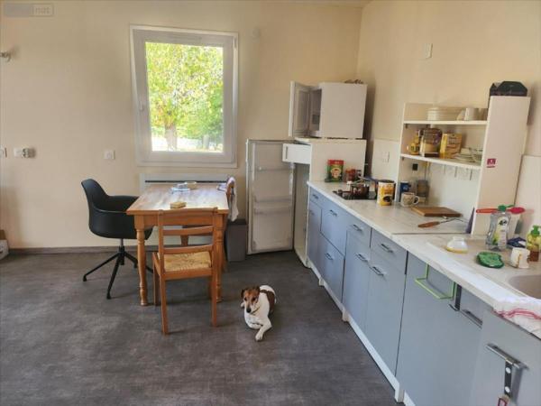 Maison à vendre à Châteauneuf-sur-Cher dans le Cher (18190), ref : 1086467CA