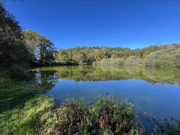 Terrain à vendre |  Saint-Goussaud |  21961 m²