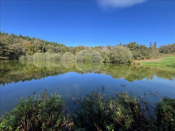 Terrain à vendre |  Saint-Goussaud |  21961 m²