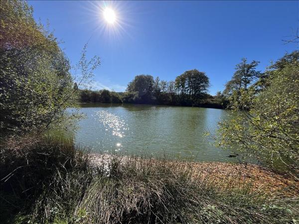 Terrain à vendre |  Saint-Goussaud |  21961 m²