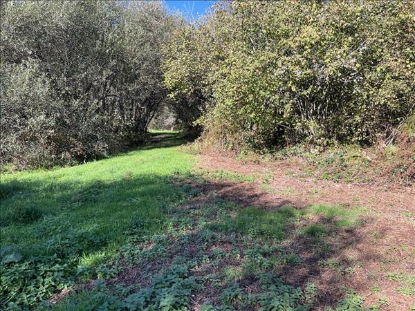 Terrain à vendre |  Saint-Goussaud |  21961 m²