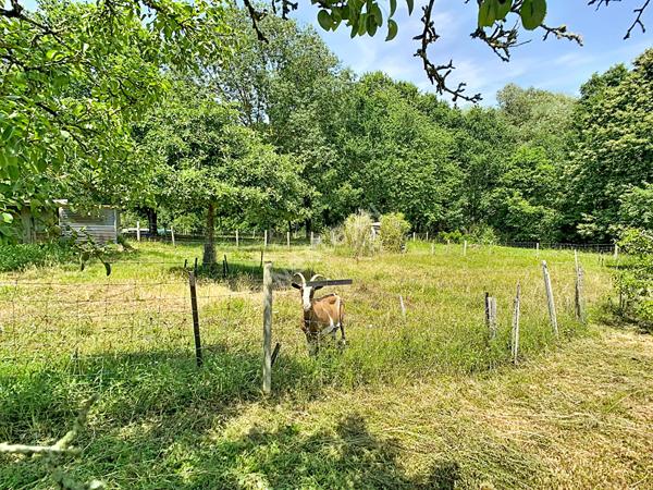 Maison style bourgeoise et division de terrain possible à vendre sur la commune de Gesté