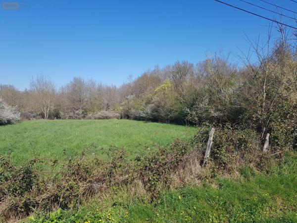 Terrain à Batir à vendre à La Chapelle-Montmartin dans le Loir-et-Cher (41320), ref : 41036/3183