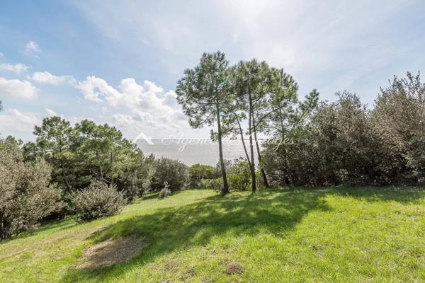 Villa d’exception face à l’océan – Saint-Georges-de-Didonne