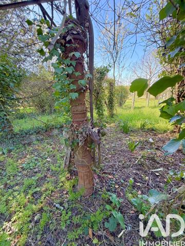 Maison à vendre 5 pièces 116 m² Le Blanc