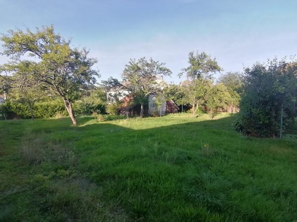 Charmante maison familiale au cœur des Hautes Vosges, proche Alsace