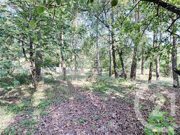 Maison à vendre  7 pièces - 154,22 m2 ROMORANTIN LANTHENAY - 41