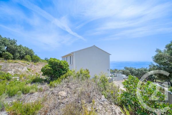Appartement à vendre  10 pièces - 250 m 2   SANTA MARIA DI LOTA  - 202