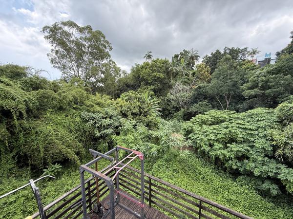 Maison quatre chambres avec piscineet dépendance