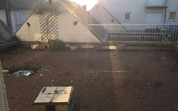 Appartement à louer    2 pièces •  Selles-sur-Cher