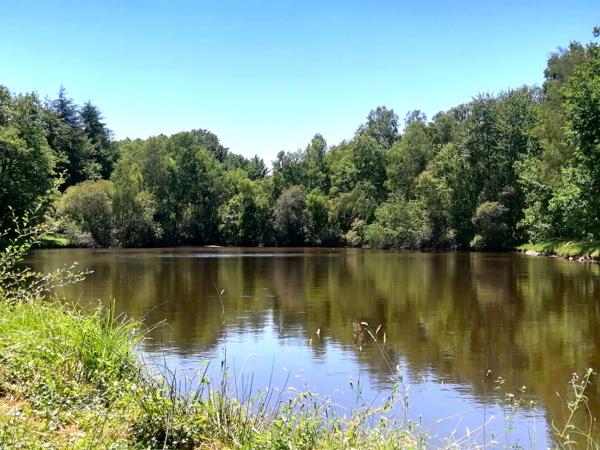 Lacs à vendre à Cussac (87150) - Haute-Vienne