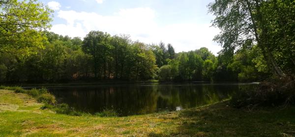 Lacs à vendre à Cussac (87150) - Haute-Vienne