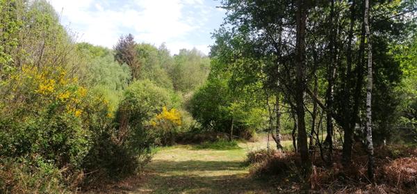 Lacs à vendre à Cussac (87150) - Haute-Vienne