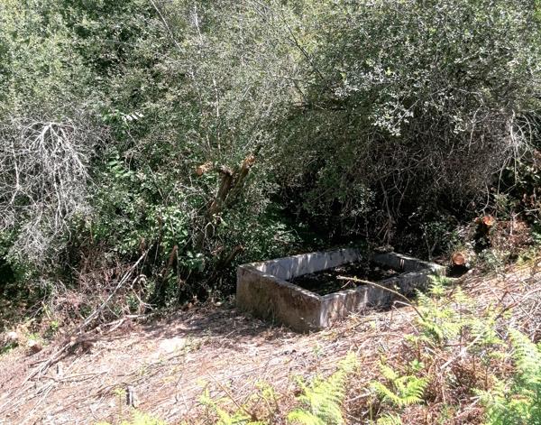 Lacs à vendre à Cussac (87150) - Haute-Vienne