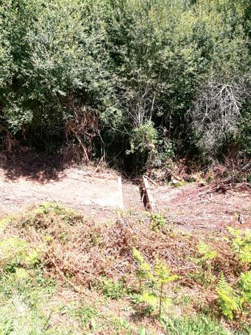 Lacs à vendre à Cussac (87150) - Haute-Vienne